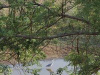 Marion, Romane South Africa 2014 (6 of 19) : KNP Letaba, Marion visit